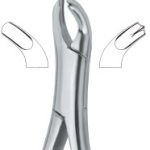 Harris Molars , left 18L