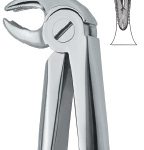 Lower Molars ,Universal 22