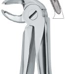 Lower Molars,Left 24