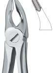 Incisors and Bicuspids 35N