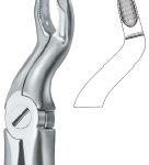 Tooth Ext Forceps