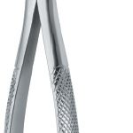Witzel Root Fragments and Universal 502